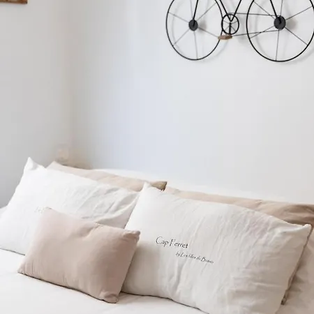 Le Cocon Au Centre D'arcachon, A Pied Appartement